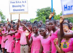 SHS students line up in the streets holding placards in support of Free SHS