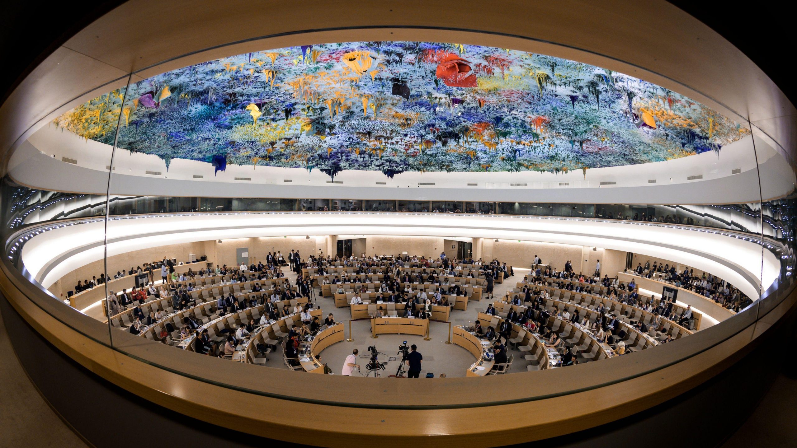 UN Human Rights Council