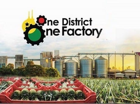 1D1F flyer