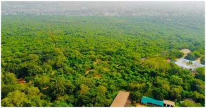 Achimota Forest