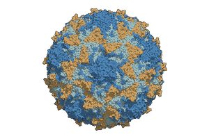 polio