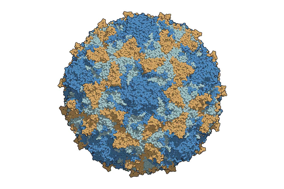 polio