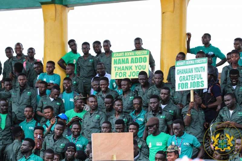 Youth in Afforestation